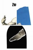 ebook Series: El libro de bolsillo - Bibliotecas de autor - Biblioteca Zweig
