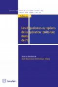 ebook Series: Collection droit de l'Union européenne - Colloques