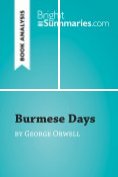 ebook Series: BrightSummaries.com