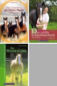 ebook: Haltung