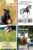 eBook: Pferdegesundheit