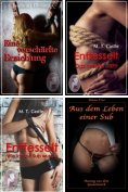 ebook: Erotik Kurzgeschichten 