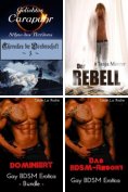 ebook: gay romance