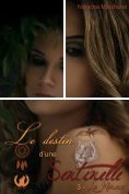 eBook Serie: Le destin d'une sentinelle