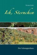 eBook Serie: Ich, Sternchen