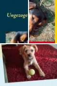ebook Series: Ungezogene Hunde