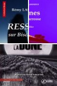 eBook Serie: Les chroniques policières de Biscarrosse