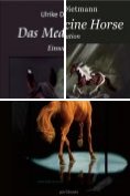 ebook Series: Das Medizinpferd