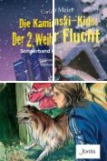 eBook Serie: Die Kaminski-Kids (E-Books)