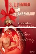 eBook Serie: Ein erotischer Adventskalender