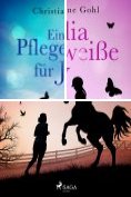 eBook Serie: Julia Reihe