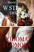 eBook Serie: W poszukiwaniu straconego czasu