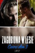 eBook Serie: Czarci dom