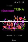 ebook Series: Tónsnillingaþættir