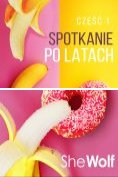 eBook Serie: Spotkanie po latach