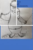 eBook Serie: Tsau