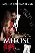 eBook Serie: Tryptyk miłosny