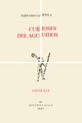 eBook Serie: Poesía. Adonáis