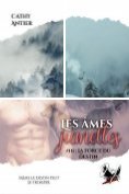 ebook Series: Les âmes jumelles