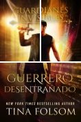 eBook Serie: Guardianes Invisibles