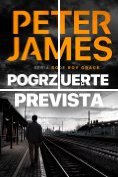 eBook Serie: Roy Grace