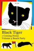 eBook Serie: Black Tiger