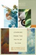 eBook Serie: IVP Bible Study Experience
