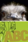 eBook Serie: Timmerbergs ABC