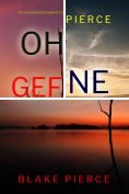 eBook Serie: Ein spannender Amber Young FBI-Thriller