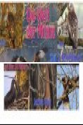 ebook Series: Die Welt der Milane