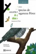 eBook Serie: INFANTIL E XUVENIL - MERLÍN E-book