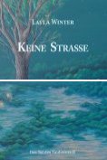 eBook Serie: Das Tal des Zauberers