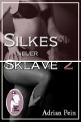 eBook Serie: Silkes neuer Sklave