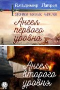 eBook Serie: Хроники боевых ангелов