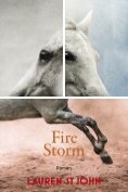 eBook Serie: One Dollar Horse