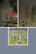 ebook Series: Das Tal Irminsul