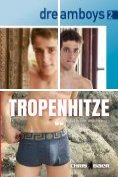 ebook Series: dreamboys