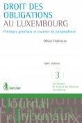 eBook Serie: Les Dossiers du Journal des tribunaux Luxembourg