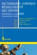 eBook Serie: Dictionnaires Larcier