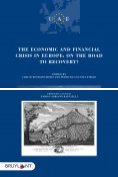 ebook Series: Union des avocats européens (UAE)