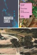 eBook Serie: Narrativa