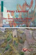 eBook Serie: Des veines dans le granite