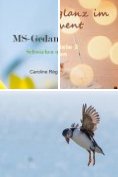 eBook Serie: MS-Gedankenspiele